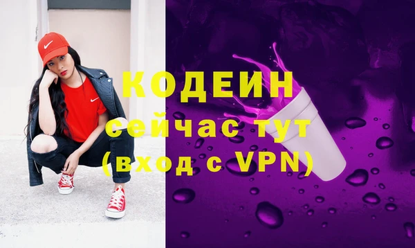 прущий лед Заречный