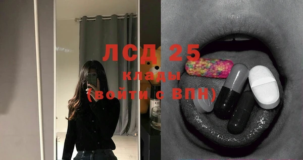 прущие грибы Армянск