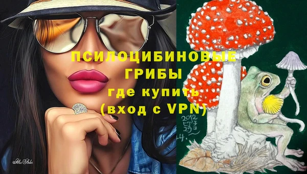 прущие грибы Армянск