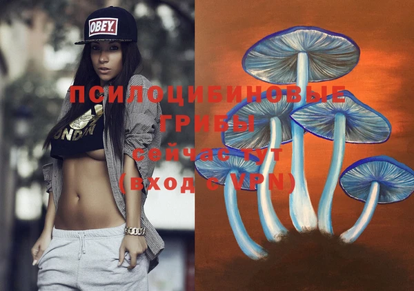 прущие грибы Армянск