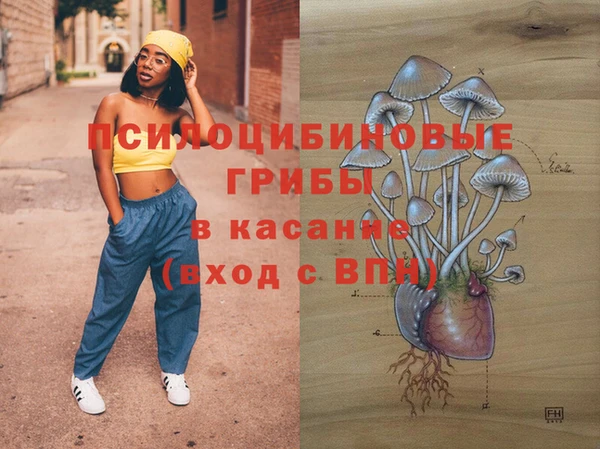 соль курить ск Арсеньев